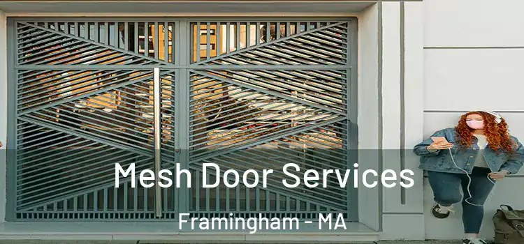 Mesh Door Services Framingham - MA
